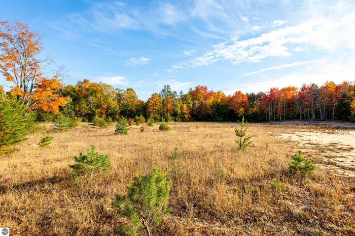 Property Photo:  7764 S Weldon Road  MI 49683 
