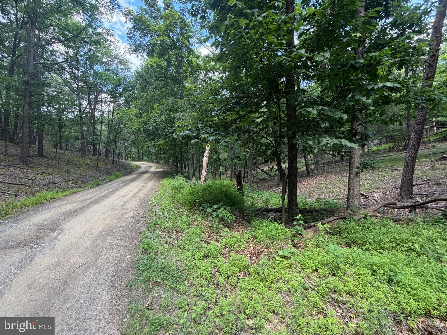 Property Photo:  00 Headsville Rd  WV 26726 