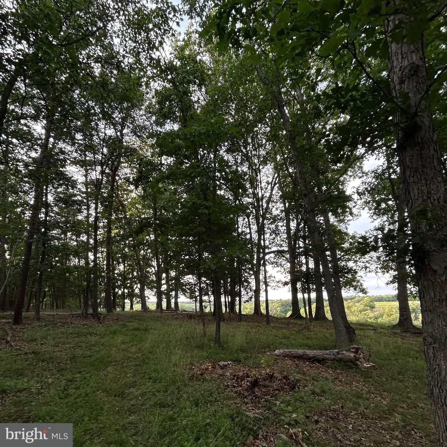 Property Photo: 00 Headsville Rd WV 26726
