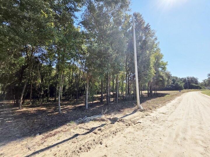Property Photo: 6 Joseph Lemon And Dingle Road SC 29102