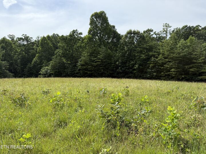 Property Photo:  Clear Creek Rd. 41 Acres  TN 38571 