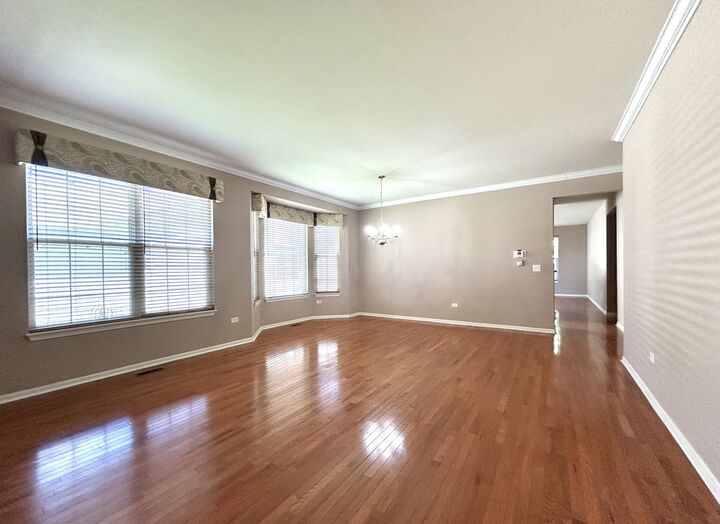 Property Photo: 21214 Lily Lake Lane IL 60403