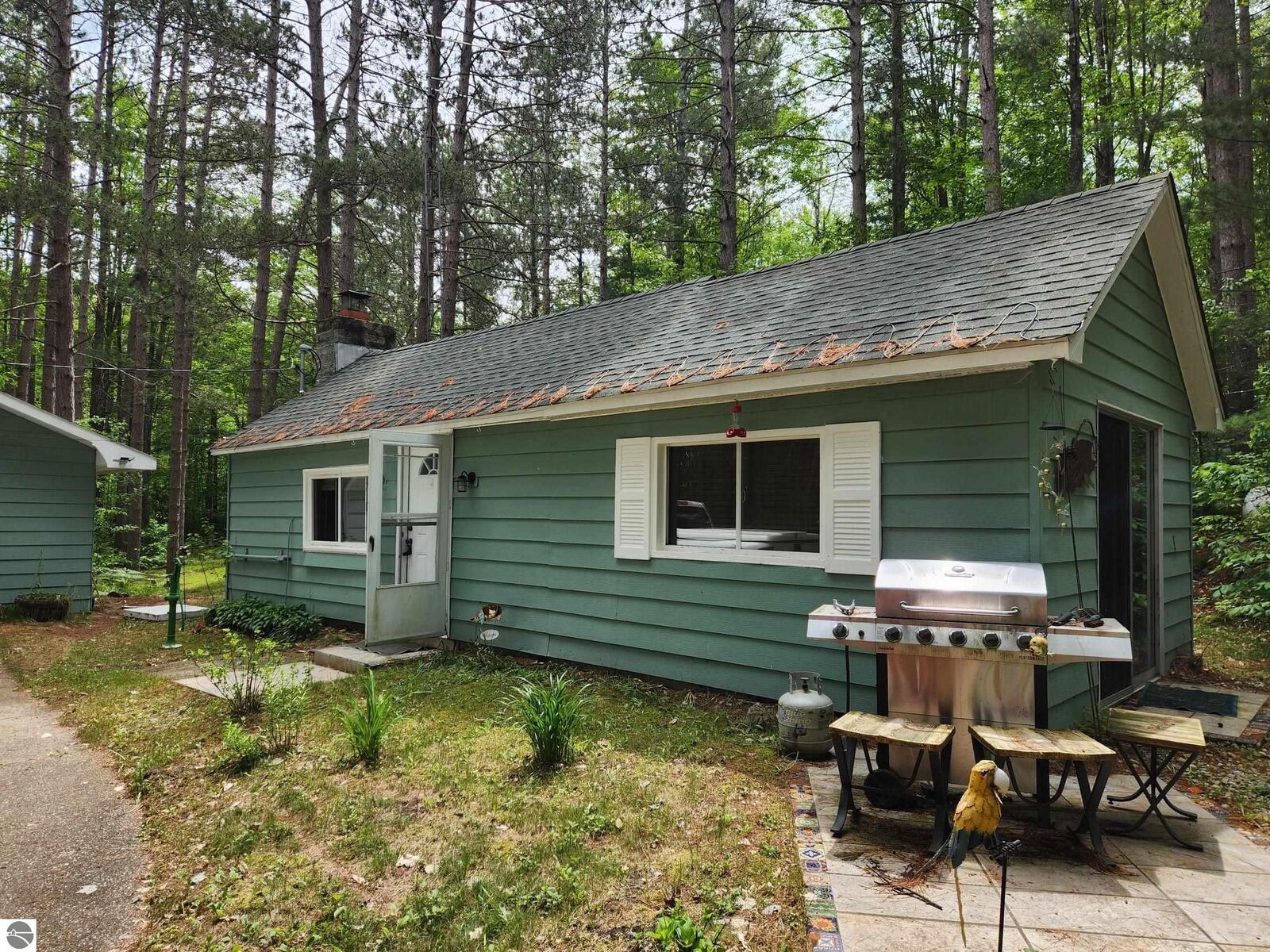 Property Photo: 5364 Blue Lake Road, NE MI 49646