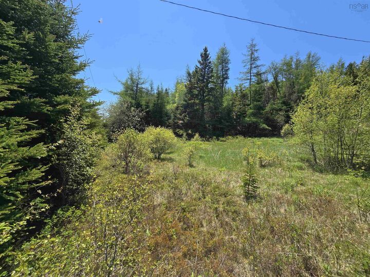 17987 316 Highway — photo 1