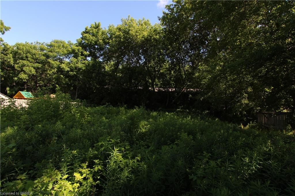 Property Photo: 38 Brock Lane ON N3S 4Y6