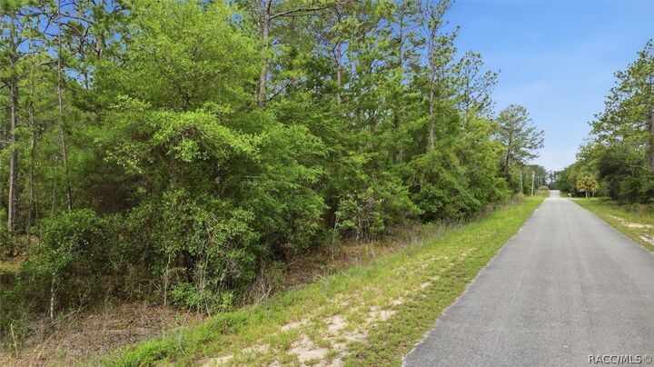 Property Photo:  0000 SW Beaver Drive  FL 34431 