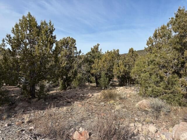 Property Photo:  277 N Pinion Cir  UT 84722 