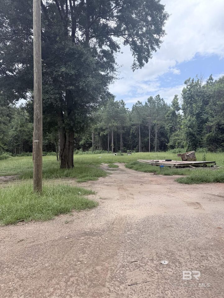 Property Photo: 3604 S Alabama Avenue AL 36460