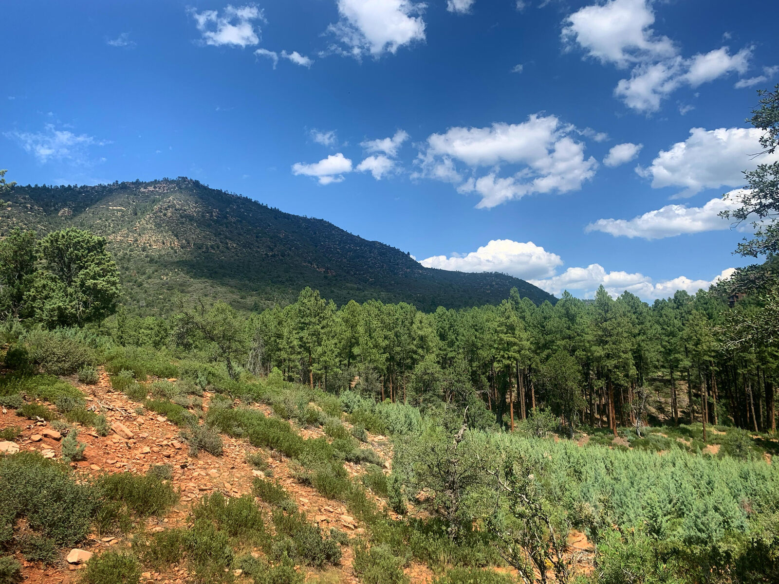 Property Photo:  Lot 49 Ruin Hill Loop  AZ 85544 