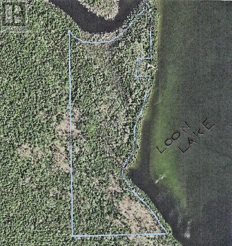 Property Photo:  Pl12c6 Dawson Loon Lake Road  ON P0P 1R0 