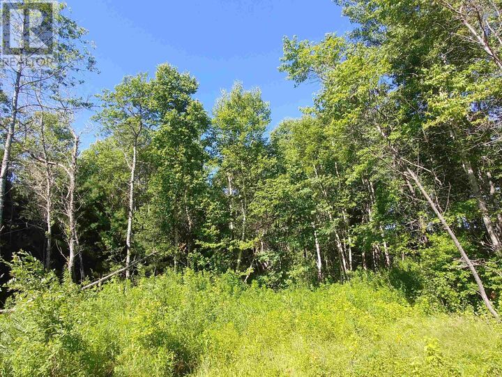 Property Photo: Lot 12 Birch Lane PE C0A 1L0