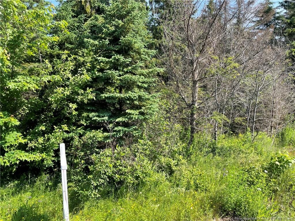 Property Photo:  Lot 1 Communication Road  NB E1H 2G5 