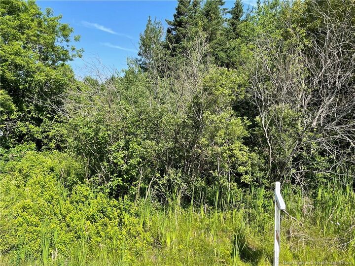 Lot 2 Communication Road — photo 1