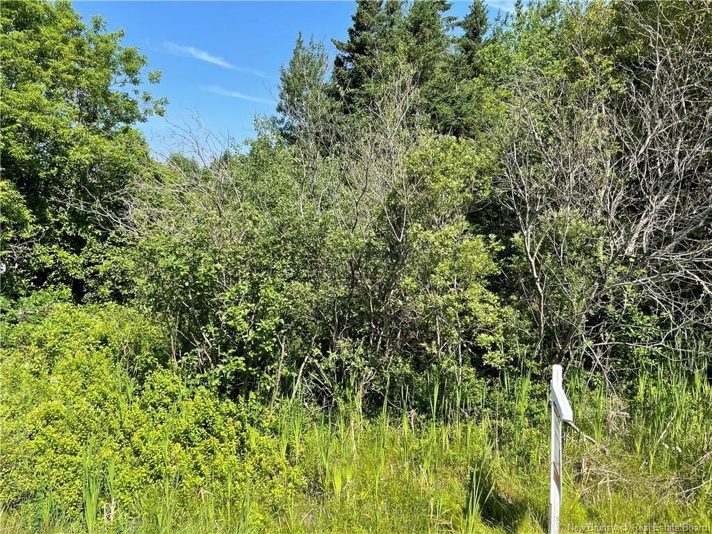 Property Photo:  Lot 2 Communication Road  NB E1H 2G5 