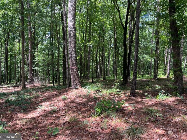 Property Photo:  1577 Pullman Lane  GA 30642 