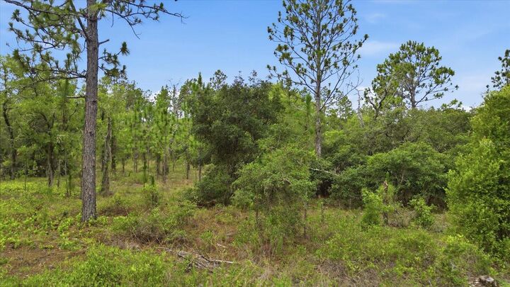 Property Photo:  0000 SW Plaza Court Court  FL 34431 