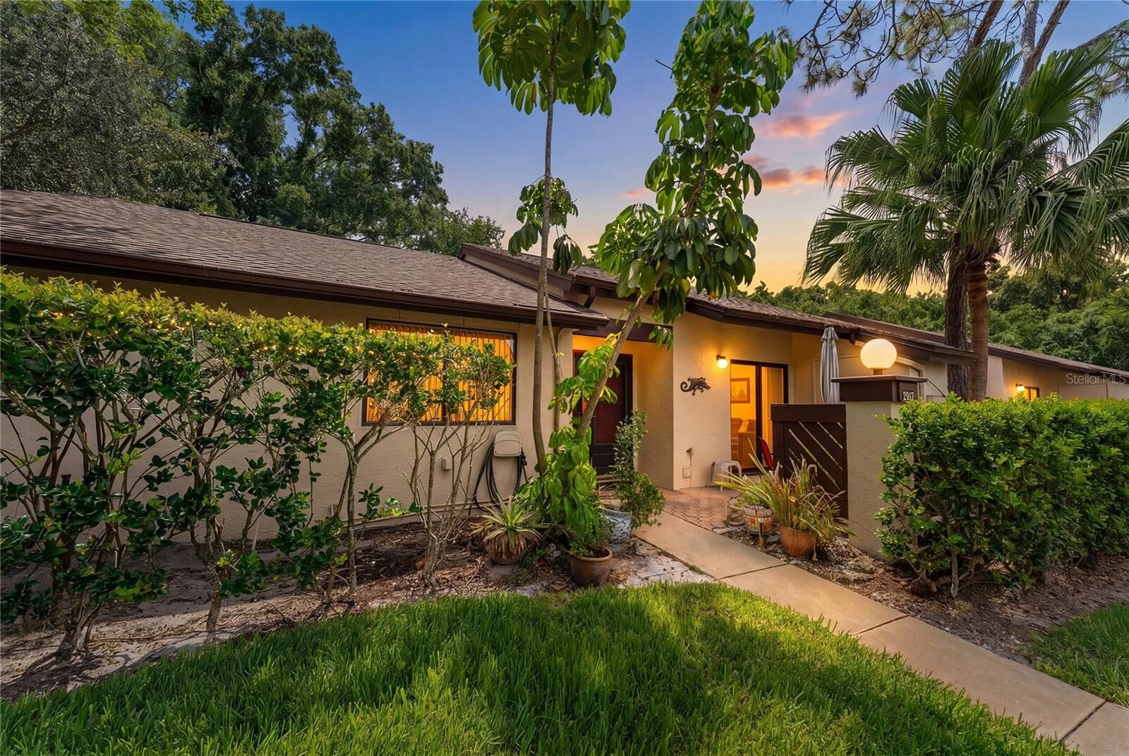 Property Photo:  2917 Fig Court  FL 34684 