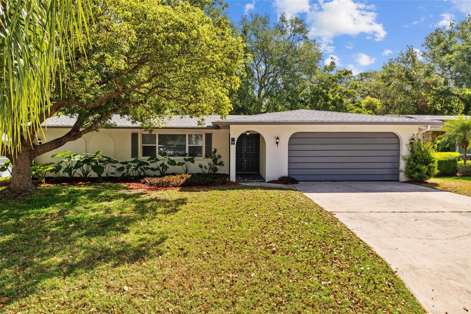 Property Photo:  1905 Oro Court  FL 33764 