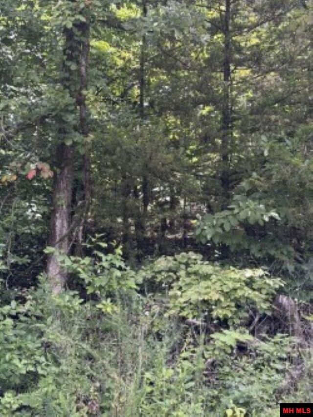 Property Photo:  Lot 61 Hebrides Avenue  AR 72653 