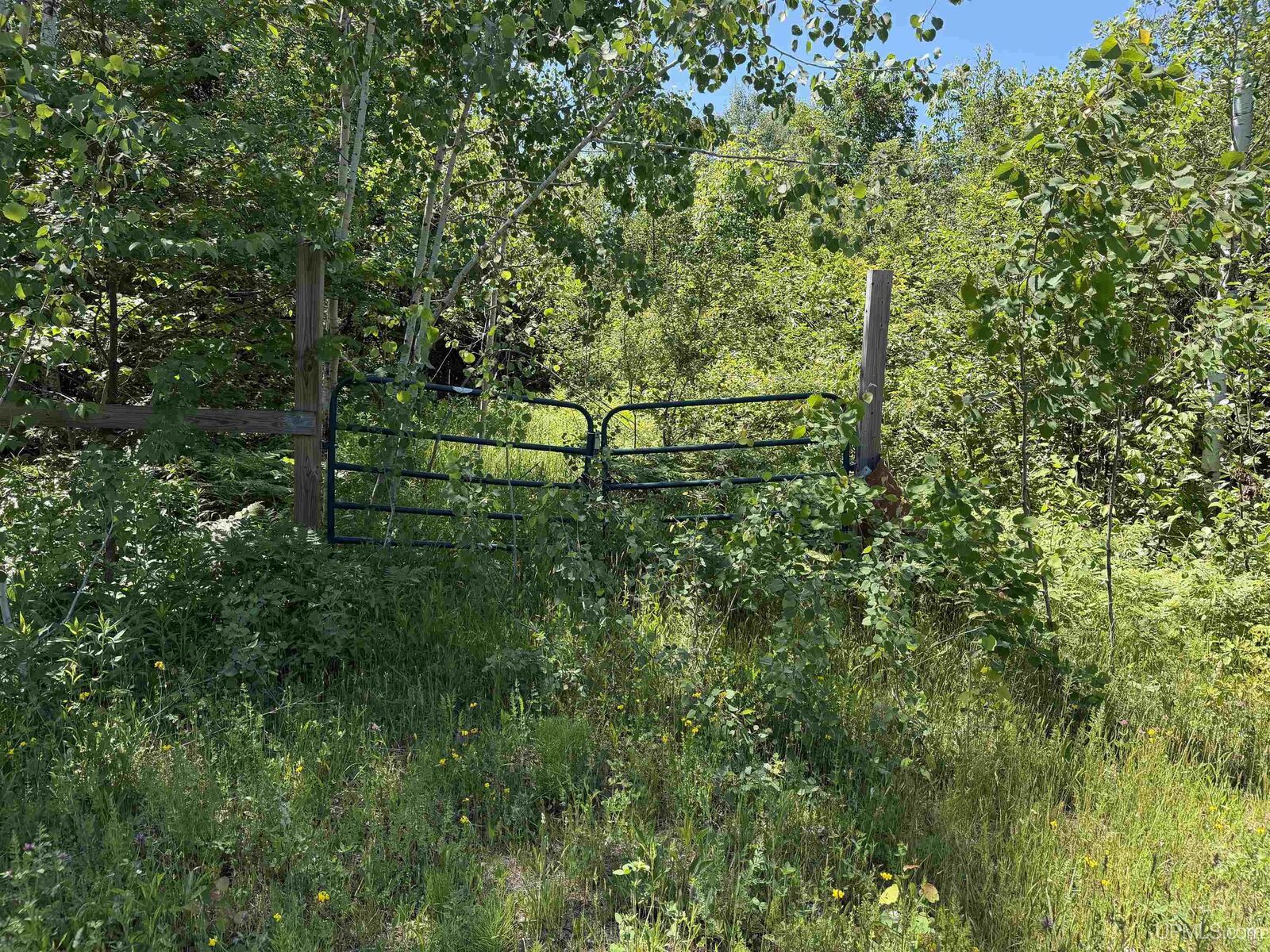 Property Photo:  Tbd Woodspur Road  MI 49953 