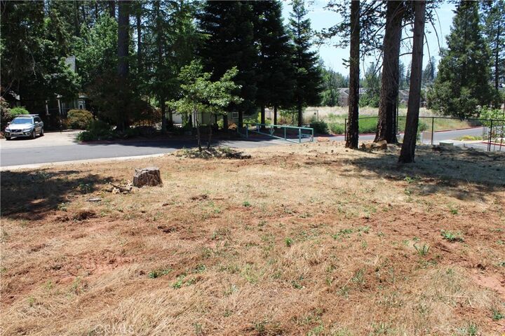 Property Photo:  1645 Puddle Duck Court  CA 95969 