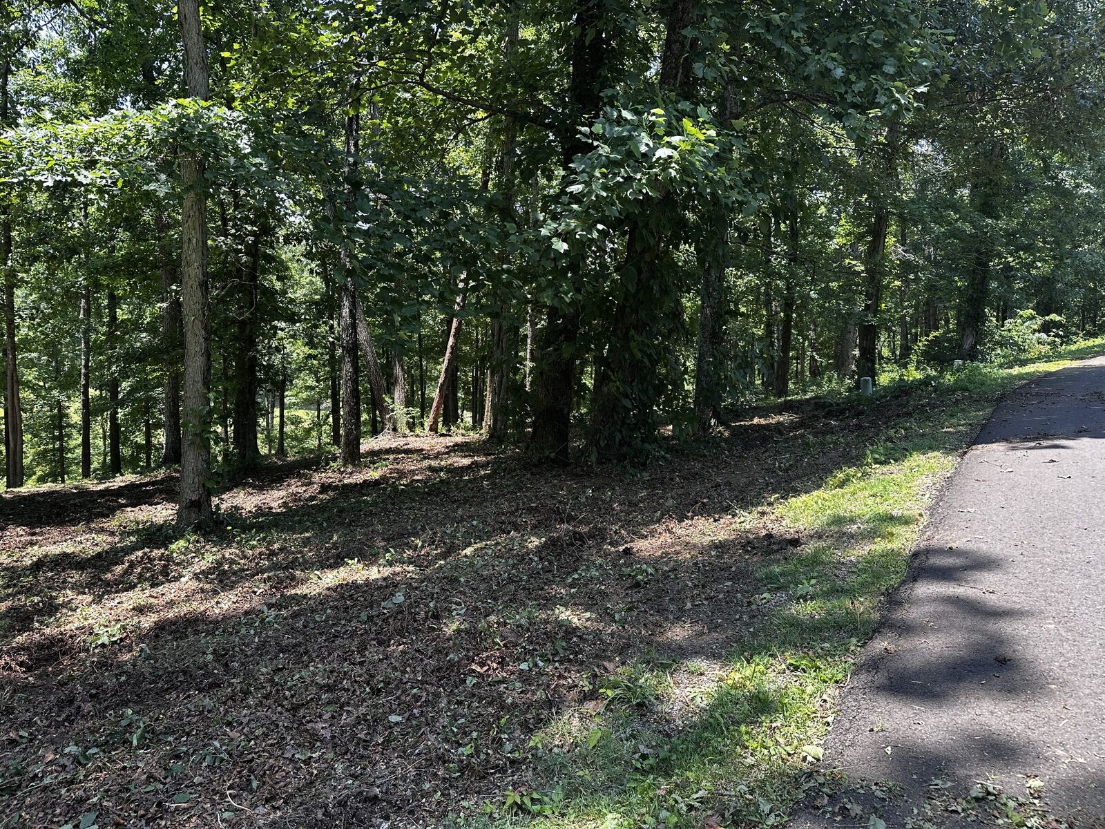 Property Photo:  196 Fairway Circle  TN 38469 