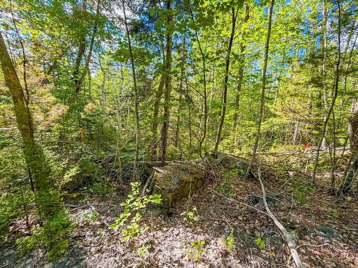 Property Photo:  Lot Pid#70126610 Ponhook Shore Road  NS B0J 2E0 