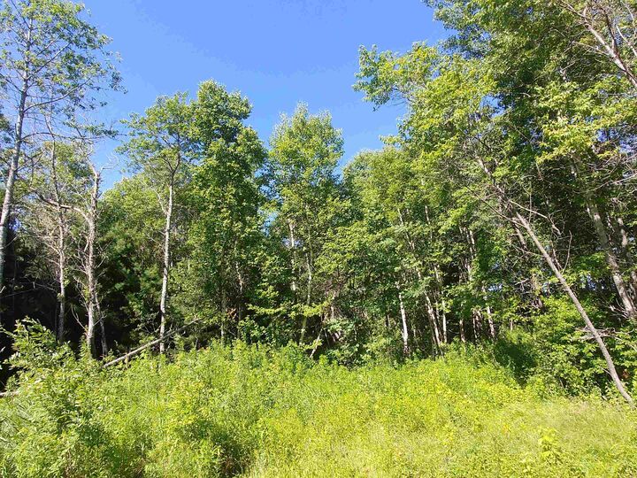 Property Photo:  Lot 13 Birch Lane  PE C0A 1L0 