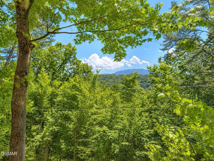 Property Photo: 874 Boone Acres Lane TN 37863