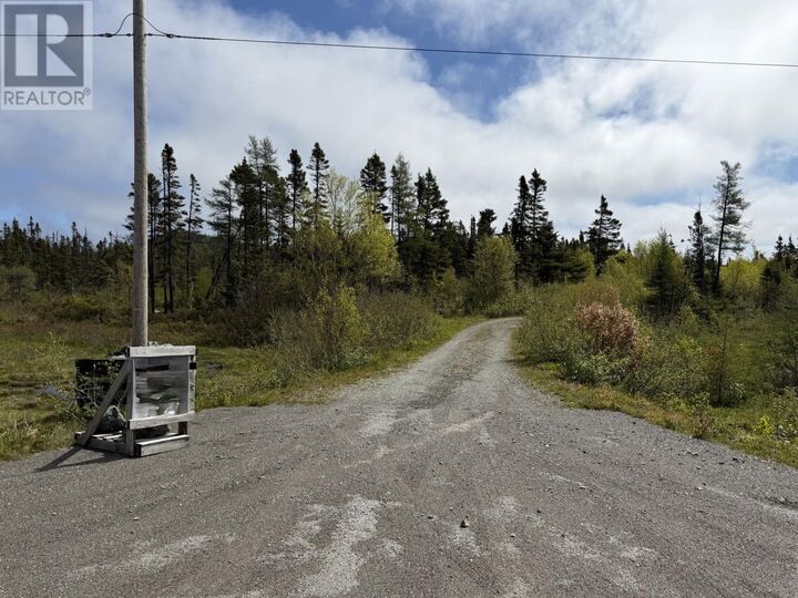 Property Photo:  0 Main Street  NL A0G 3R0 