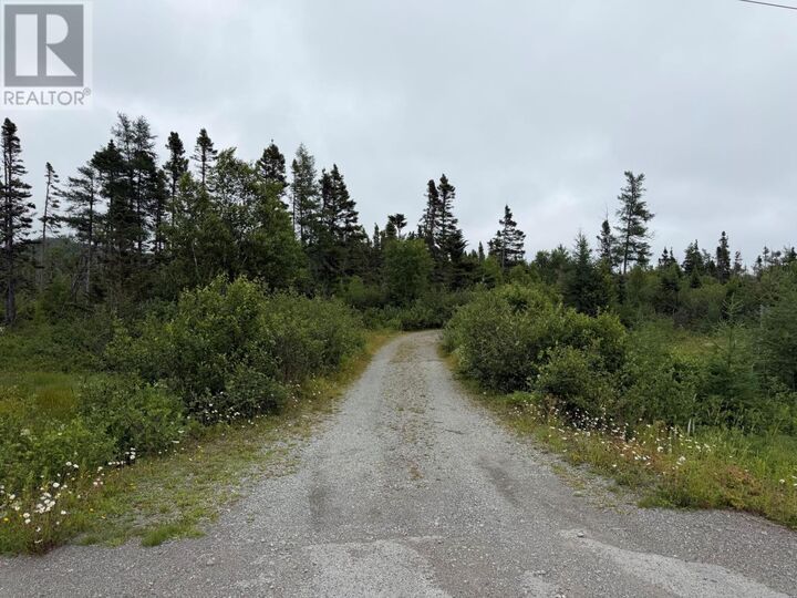 Property Photo:  0 Main Street  NL A0G 3R0 