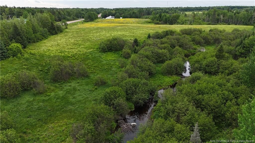 Property Photo:  Lot 1 Route 134  NB E4X 1N5 