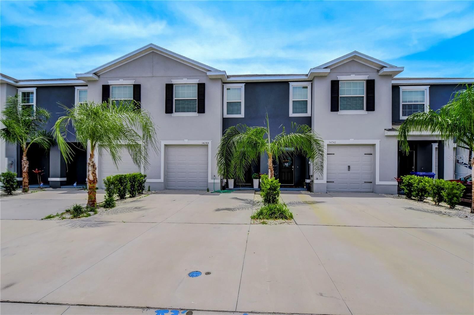 Property Photo:  34240 Redwood Dawn Lane  FL 33543 