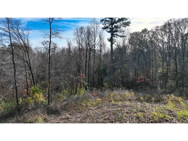 Property Photo:  Munford Giltedge Rd  TN 38015 
