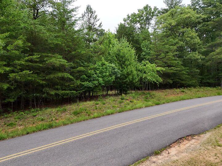 Property Photo:  Lot 3 Cook Henry Road  GA 30512 