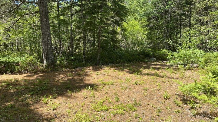 Property Photo:  Lot 3 Highway 8  NS B0T 1B0 