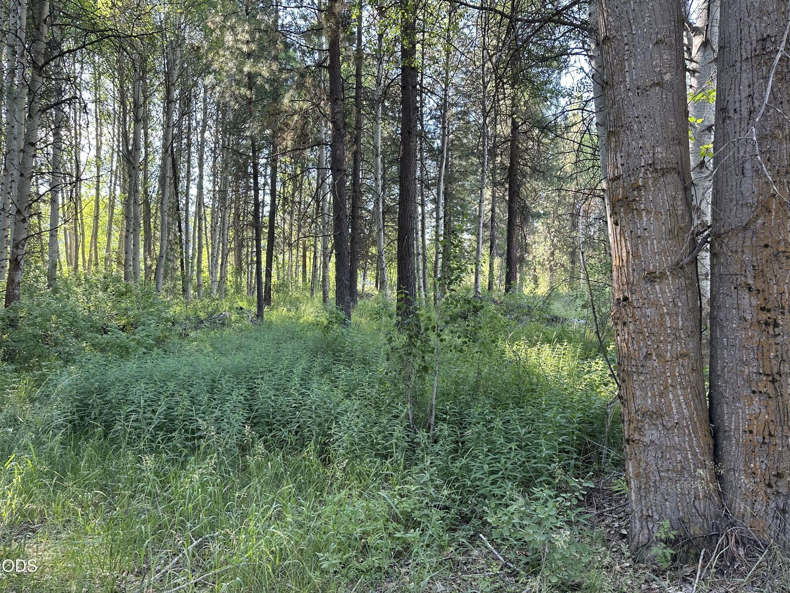 Property Photo:  0 Highway 62  OR 97624 