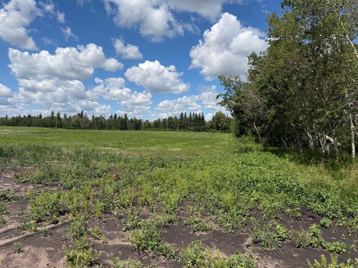 Property Photo: 1 422028 Range Road 255 AB T4J 1R3