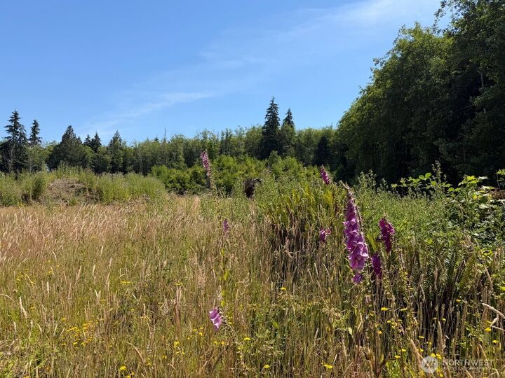 Property Photo:  434 W Bulb Farm Road  WA 98584 