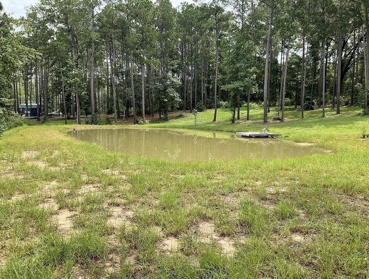 Property Photo:  768 County Road 219  TX 75931 