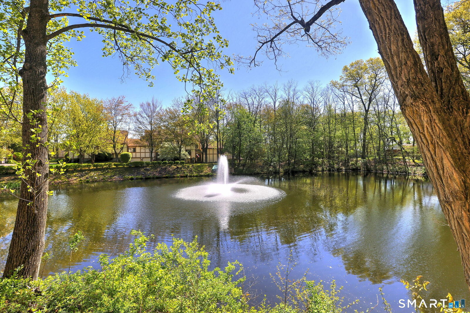 Property Photo:  690 Forest Road 382  CT 06516 