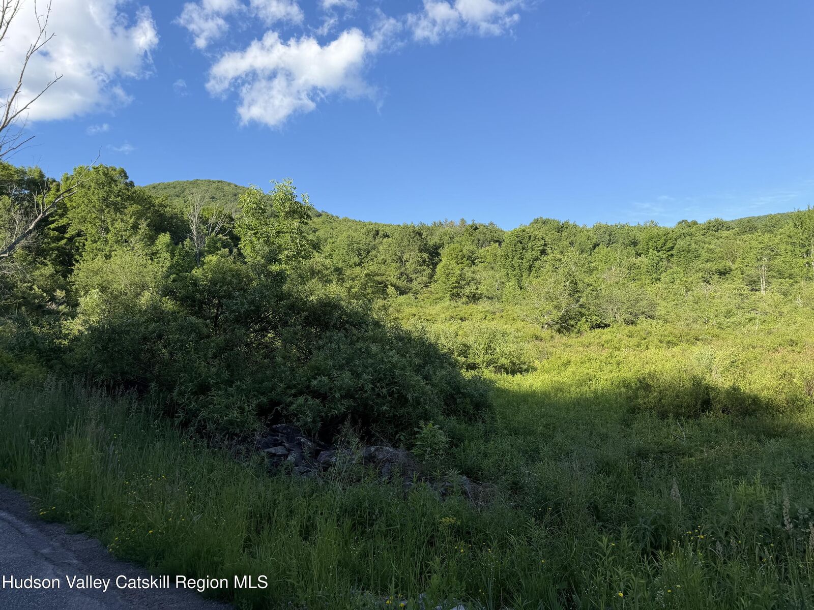 Property Photo:  3012 Red Kill  NY 12430 