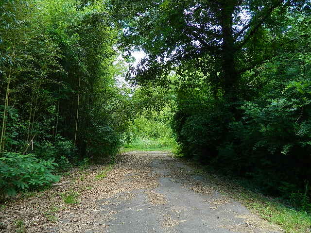 Property Photo:  118 Cothran Road  SC 29627 