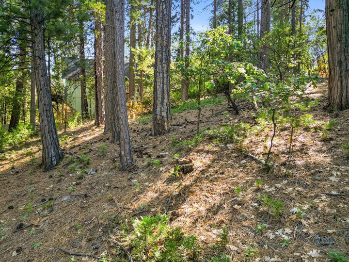 Property Photo:  2946 Venado Drive  CA 95223 