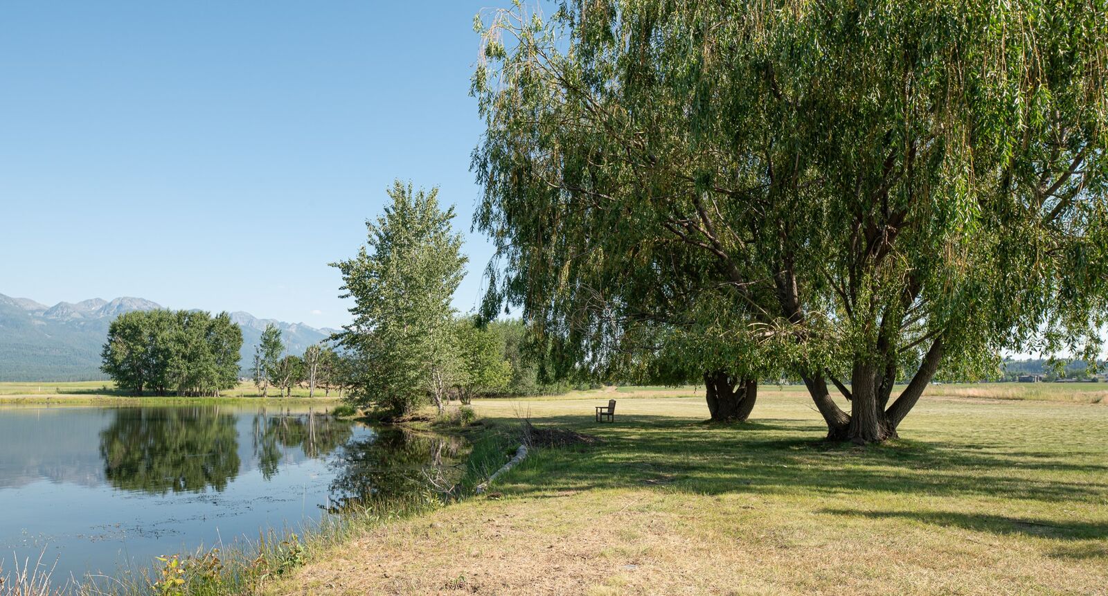 Property Photo:  213 Pheasant Ridge  MT 59860 