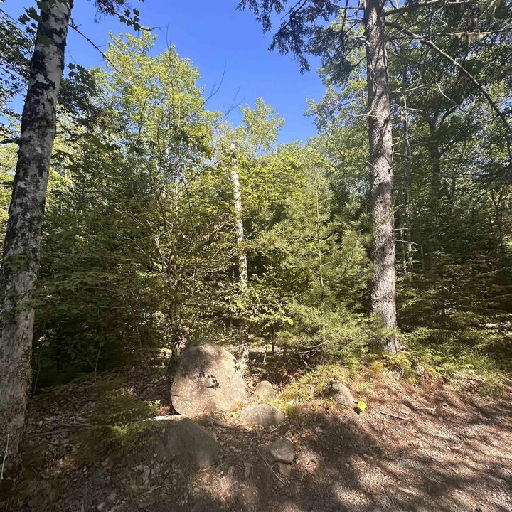 Property Photo:  (Pid 70241864) Wellington Road  NS B0T 1E0 