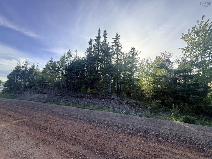 Property Photo:  B1k 2P9 New Boston Road  NS B1K 2P9 