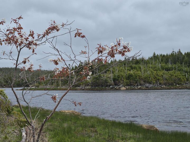 Property Photo:  2618 Highway 7  NS B0J 2A0 