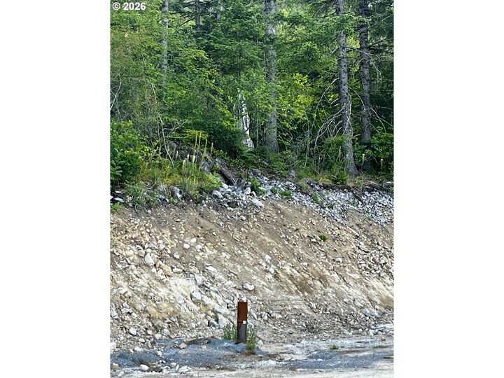Property Photo:  Snag Mountain Rd 110  WA 98671 