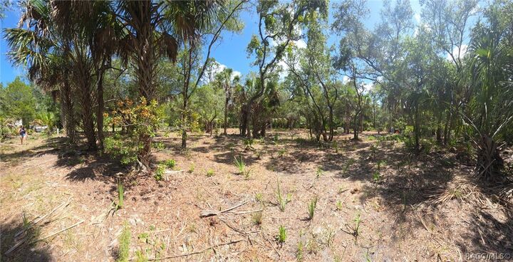 Property Photo:  11345 N Moonlight Terrace  FL 34449 